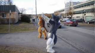 Kungsbacka fursuit outing [upl. by Onimixam976]