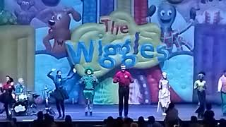 The Wiggles  Do The PropellerGoodbye  Live in Auckland 2024 [upl. by Baker763]