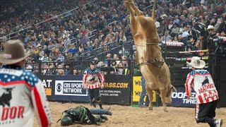 The best Bucking Bull Moments PBR 2022 [upl. by Nnyliram]