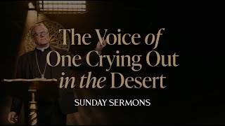 The Voice of One Crying Out in the Desert  Bishop Barrons Sunday Sermon [upl. by Neelyar]