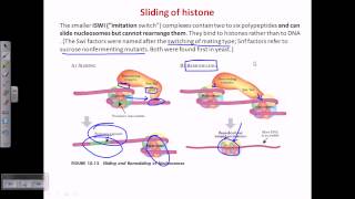 ATP dependent chromatin remodelling [upl. by Eittol]