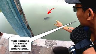 Di Jamin Video ini Akan Membuat Jiwa Mencari ikan Kalian Meronta Ronta [upl. by Dorisa849]