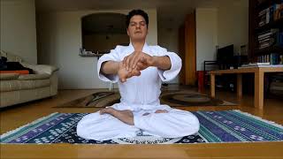 Aikido Wrist Exercises [upl. by Alexine]