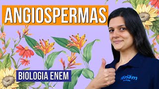 ANGIOSPERMAS veja as características destas plantas RESUMO DE BIOLOGIA ENEM Profa Claudia Aguiar [upl. by Andrien]