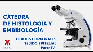 HISTOLOGÍA  Tejido epitelial PARTE IV  UCASAL [upl. by Pease]