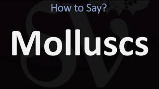 How to Pronounce Molluscs CORRECTLY [upl. by Adarbil]