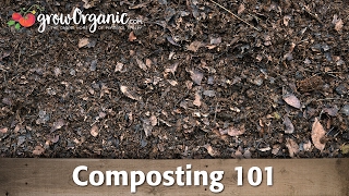 Composting 101  Making Compost in Composting Bins and Compost Piles [upl. by Ailaza]