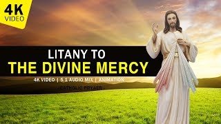 LITANY TO THE DIVINE MERCY  LITANY PRAYERS [upl. by Brag]