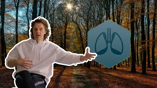 DMT Breathing Session With Tim van der Vliet [upl. by Assirac]