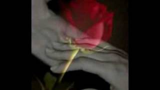 Freddie Jackson  You Are My Lady with Lyrics [upl. by Ahseenat]