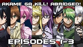 Akame Ga Kill Abridged Episode 13 Recap [upl. by Derdlim]