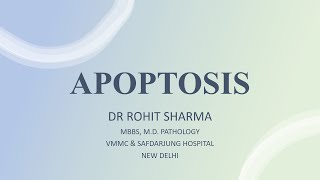 APOPTOSIS Biochemistry and Mechanism 2 pathways morphological changes NECROPTOSIS PYROPTOSIS [upl. by Vieva]