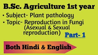 Reproduction in Fungi Asexual and sexual reproduction  BSc Ag 1st year  plant pathology [upl. by Yhtrod]