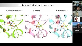 Hydrogenase Lectures 2022 Episode 8 Part 2 Marion Jesperson [upl. by Franklin]