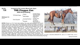 Pitzer Ranch Spring Sale 2024 Lot 130 TRR PLAYGUN ZAN [upl. by Assena353]