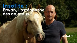 Insolite  Erwan lostéopathe des animaux [upl. by Feodore]