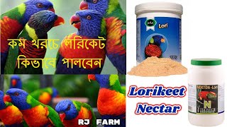 কম খরচে লরিকেট কিভাবে পালবেন। কি খাবার দিবেন। lorikeet bird food Lorikeet Parrot [upl. by Hedveh]