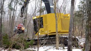 Tigercat H822D Harvester in Maine [upl. by Anirdnajela]