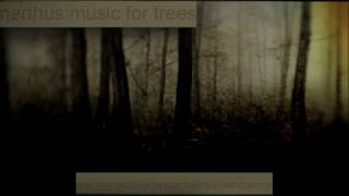 Nerthus ‎– Music For Trees 2013 FULL ALBUM [upl. by Ardnasxela]