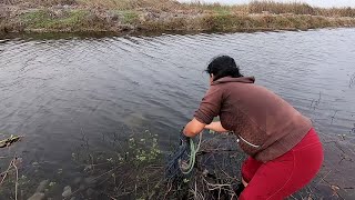 la MUJER con más SUERTE para PESCAR así con ATARRAYA │Cast net fishing [upl. by Veleda]