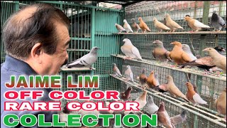 EP275  P3 MGA IMPORTED LINE NA RARE AT OFF COLOR COLLECTION NI JAIME LIM [upl. by Zetana428]