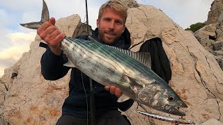 SHORE JIGGING amp DEEP SPINNING  Palamite e barracuda invernali  Winter bonitos and barracudas [upl. by Amlev]