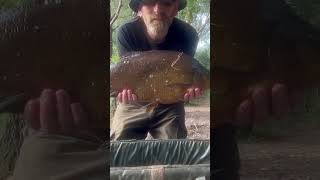 10lb 5oz Lymm vale bream [upl. by Mikihisa]