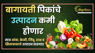 बागायती पिकांचे उत्पादन वाढणार  Production of horticultural crops will increase [upl. by Behm]