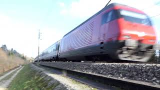 2 Intercity mit RE 460 190 Kmh  Recherswil Schweiz [upl. by Ewall260]