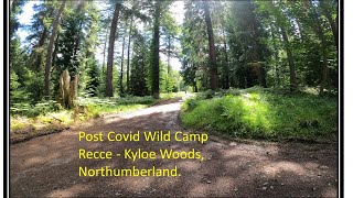 Post Covid Wild Camp Recce  Kyloe Woods Northumberland [upl. by Tilly480]