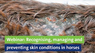 Webinar Recognising managing and preventing skin conditions in horses Professor Derek Knottenbelt [upl. by Iives]