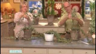 Ivy Topiaries ⎢Martha Stewart [upl. by Eilraep764]