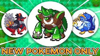 Pokemon Emerald Z The New Rom Hack With The Best Fakemon [upl. by Jerrome825]