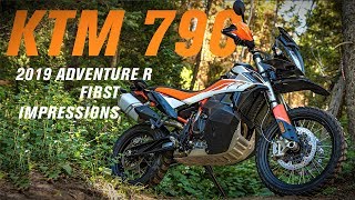 2019 KTM 790 Adventure R  First Impressions [upl. by Soane]