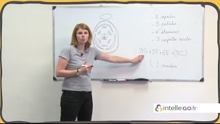 SVT  Le diagramme floral et la formule florale [upl. by Burkhardt584]