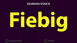 How to Pronounce Fiebig [upl. by Aseret796]