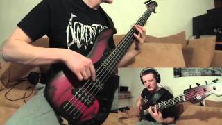 Shattered  Bipolar Disorder bass playthrough [upl. by Turner917]