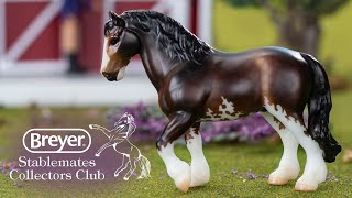 Breyer Stablemates Club Small But Mighty  Breyer Model Horses [upl. by Minoru]