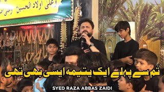 Tum Se Pehle Ek Yatima Aisi Bhi Thi  Syed Raza Abbas Zaidi  Shia Talks [upl. by Towny]