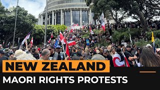 Thousands protest as Maori rights march reaches New Zealand parliament  Al Jazeera Newsfeed [upl. by Tiffie]