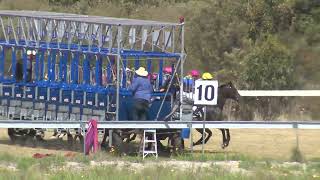 Stanthorpe 21102023 Race 2 [upl. by Assenay497]