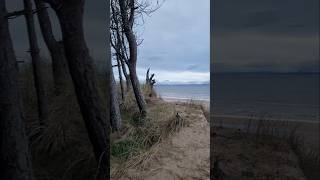 Amazing Rose isle where the forest meets the sea beach dogwalkerslife beachliving dogs [upl. by Enitsahc]