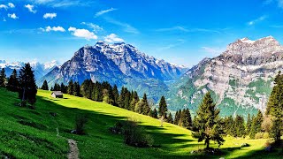 The Majestic Natural Landscapes Of Switzerland  Wild Faces Of Switzerland Marathon [upl. by Aseeral970]