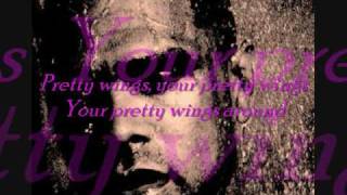 Maxwell Pretty Wings with Lyrics [upl. by Robillard]