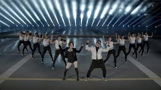 PSY  GENTLEMAN MV [upl. by Ahael391]