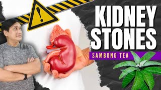 KIDNEY STONES HOME REMEDY  SAMBONG TEA [upl. by Twila]