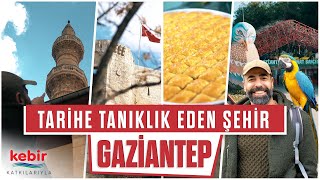 Gaziantep Kalesi Zeugma Müzesi Tahmis Kahvesi Alleben Göleti  Deyince [upl. by Phil299]