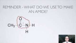 11 Ester and Amide Hydrolysis [upl. by Peggy]