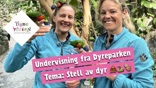 Undervisning fra Dyreparken Stell av dyr 🦧🐍🐒 [upl. by Enelloc]