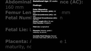 Normal 20 Week Obstetric Ultrasound Sample Report  Fetal USG pregnancyusg ultrasoundreport [upl. by Mayfield695]